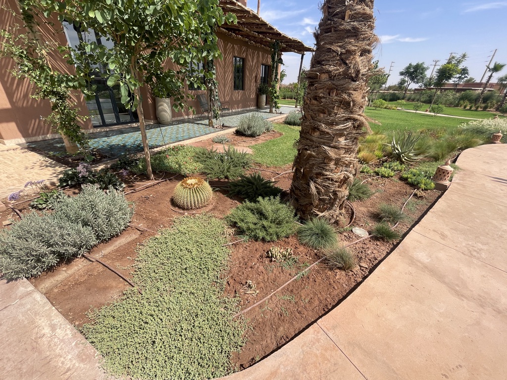 EE93EA98-8F28-4297-843E-500D342B876E_1_105_c