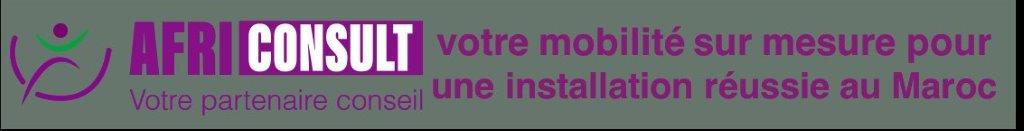 AFRICONSULT-moblite-reussie1